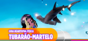 como-pescar-tubarão-martelo